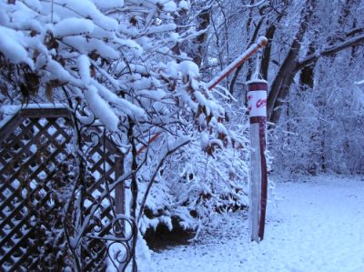 Back yard in winter with Cougar wind sock-Copyright 2012 Al Powell